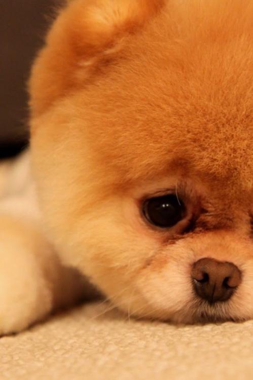 ǰ11¹ҵҵʵ57445Ԫ ͬ2.4%